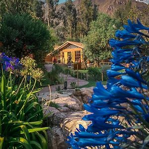 Andean Wings Valley